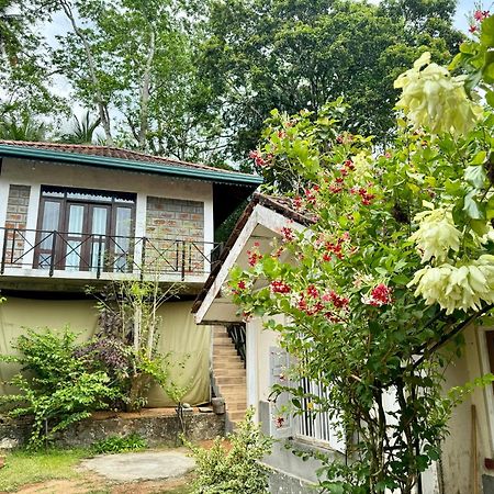 Dosemo Cabana Induruwa Exterior foto