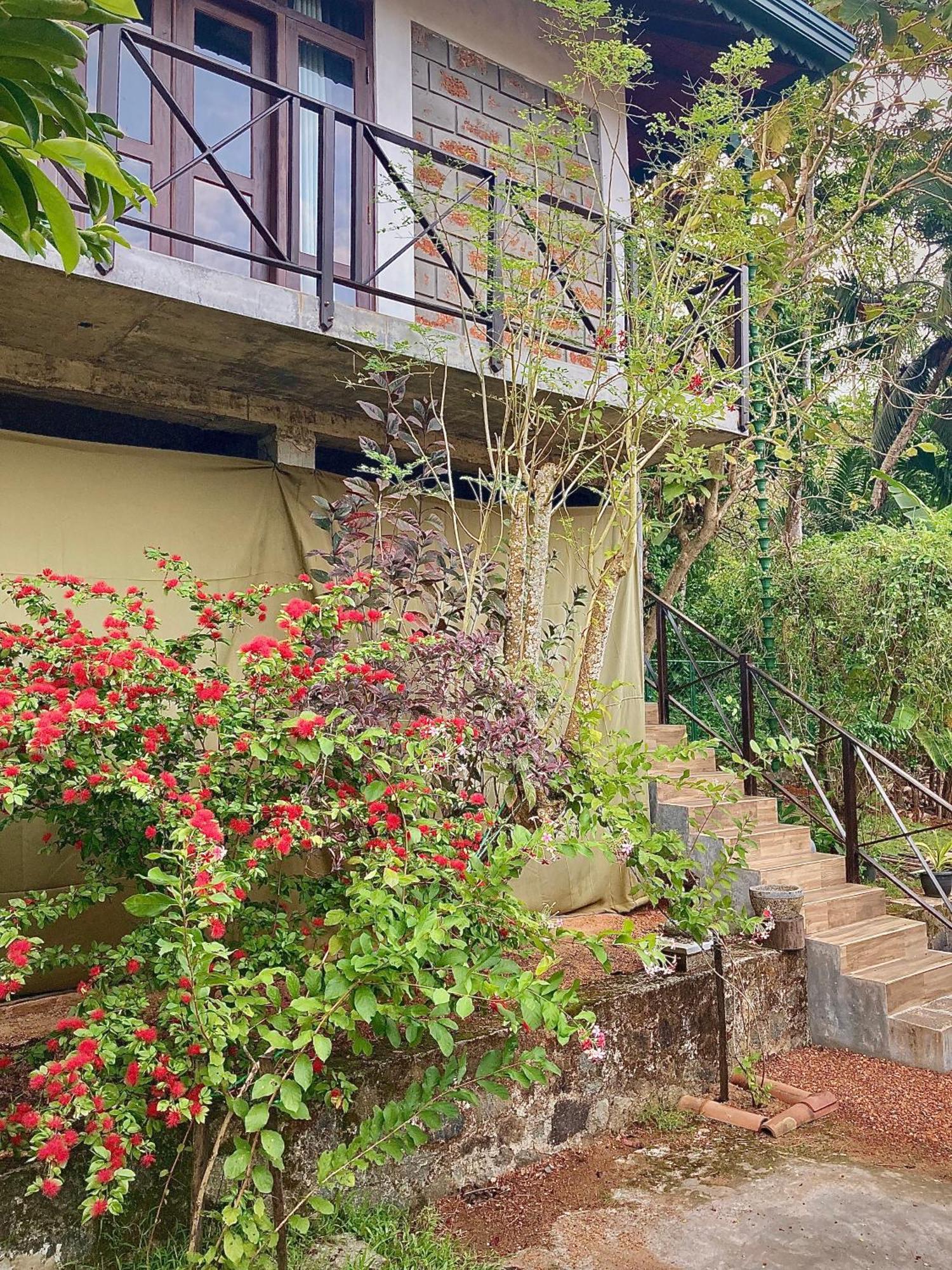 Dosemo Cabana Induruwa Exterior foto